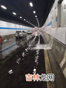 扬子江隧道外地车可以走吗,南京长江隧道外地的小轿车能走吗？