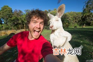 有上顿没下顿的动物,什么动物能做到轻松自如没有压力没有烦恼?