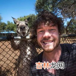 有上顿没下顿的动物,什么动物能做到轻松自如没有压力没有烦恼?