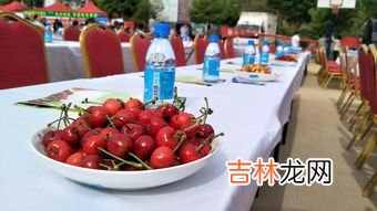 青岛樱桃节是几月几日,青岛一年共过多少个大型节会？