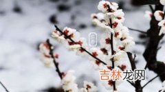 立冬时节养生必知这4点,立冬如何养生最好？立冬养生原则有哪些？