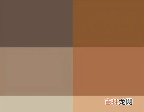 棕色和什么颜色最搭配,深棕色配什么颜色好看
