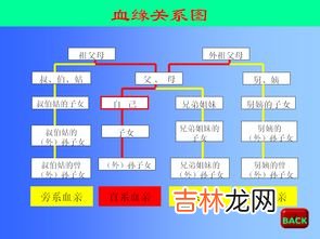 三代旁系亲属包括哪些,三代旁系亲属包括哪些