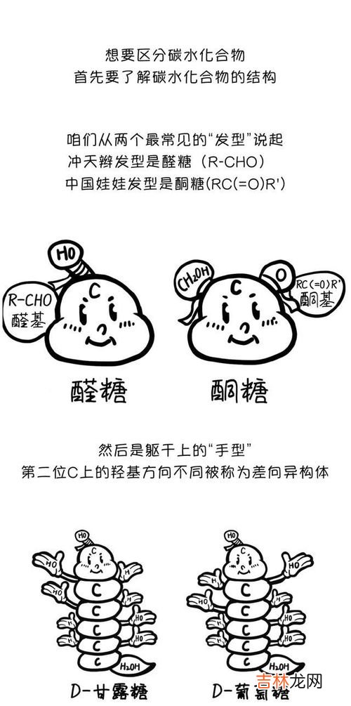 碳水化合物的分类有哪些,碳水化合物可分哪几类？分别举例