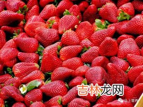草莓发白了还能吃吗,草莓发白是怎么回事 草莓发白是变质了吗