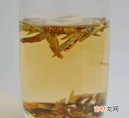 老鹰茶有什么功效和作用,为什么火锅要加老鹰茶？