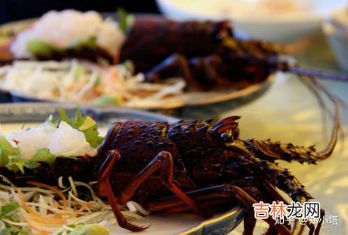 澳洲龙虾和波士顿龙虾的区别有哪些,澳洲龙虾与波士顿龙虾有何不同