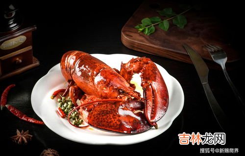 澳洲龙虾和波士顿龙虾的区别有哪些,澳洲龙虾与波士顿龙虾有何不同