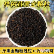 黑金桦树茸茶到底好不好,黑英雄桦树茸代用茶是真是假