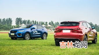 wey是指什么车型,wey是什么品牌车