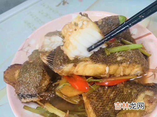 龙利鱼是海鲜么,龙利鱼是海鲜吗