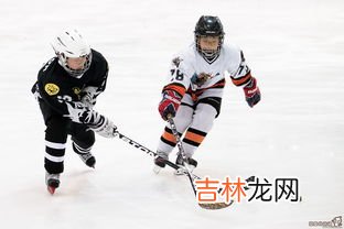 冰球运动起源于哪国,冰球运动起源于哪个国家