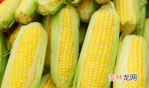 玉米能蒸熟吗,玉米可以蒸着吃吗