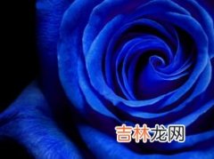 紫色代表什么意思,紫色代表什么？