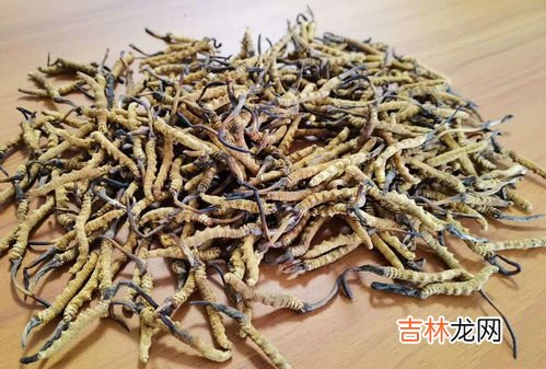 玛卡的副作用禁忌,玛卡副作用