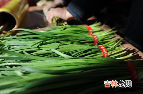 头茬韭菜能不能吃,韭菜头能吃吗 韭菜的食用禁忌有哪些