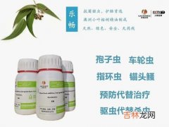 善岁堂鼻通膏效果好吗,广药敬修堂鼻通膏真的假的