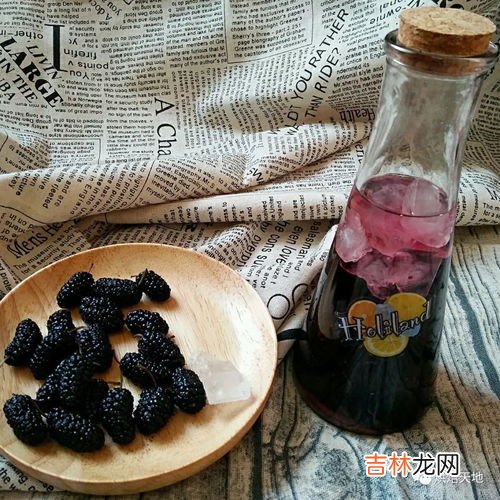 桑葚能染白头发吗,桑葚加白糖是否可以染白发?