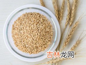 金麦聚糖适合什么人吃,麦茸聚和金麦聚在功效上有什么区别?