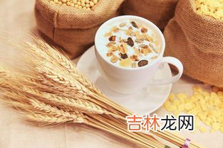 金麦聚糖适合什么人吃,麦茸聚和金麦聚在功效上有什么区别?