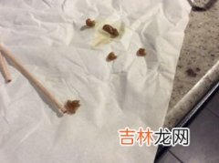 小黑点是蟑螂卵吗,抽屉里小黑点是蟑螂卵吗