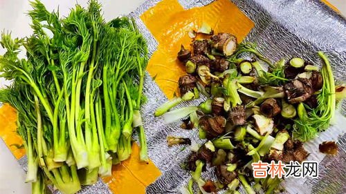 刺老芽怎么吃,刺老芽为何被称为“山野菜之王”呢？有哪些烹饪方法呢？