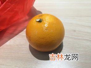 orange是橘子还是橙子,在英语里橘子、桔子和橙子都叫orange吗?
