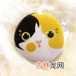 吧唧是什么周边,吧唧盒是什么