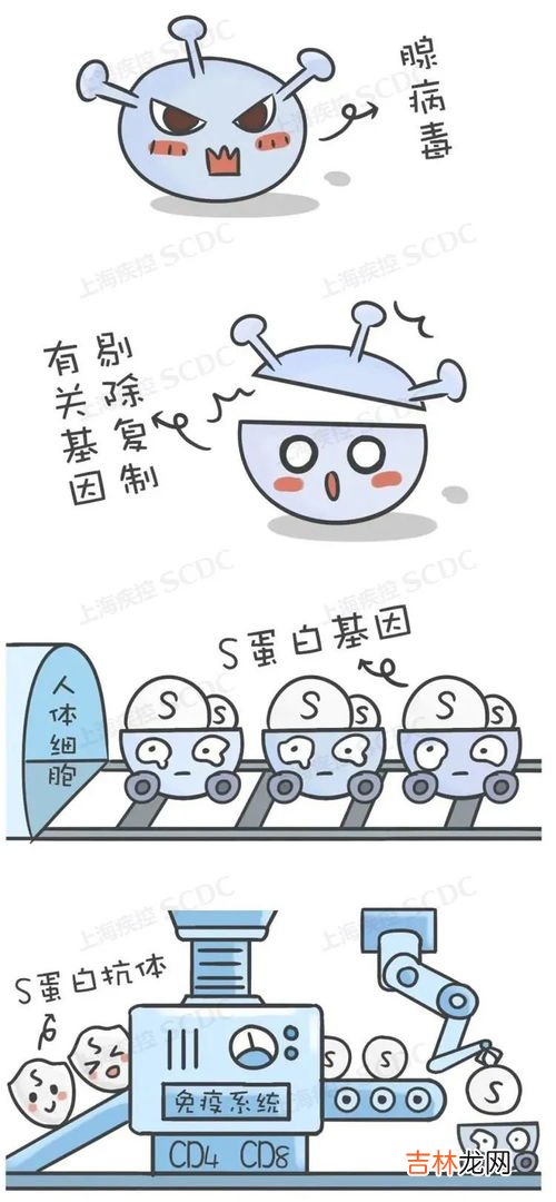 其他和其它有什么区别,“其他”和“其它”有什么区别？