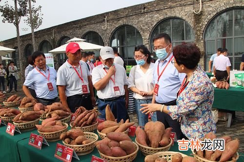 红薯原产地是哪国,红薯原产地是哪个国家