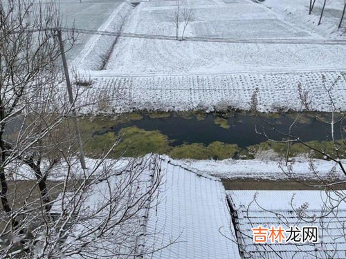 下雪了高速会封吗,春节哈同高速免费下雪还会封路吗