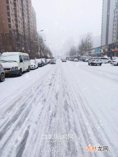 下雪了高速会封吗,春节哈同高速免费下雪还会封路吗