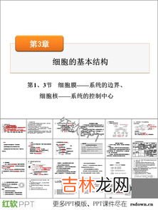 细胞膜成分有哪些,细胞膜的主要成分