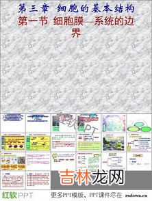 细胞膜成分有哪些,细胞膜的主要成分