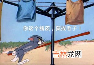 买条gai什么意思,网络语gai是什么意思