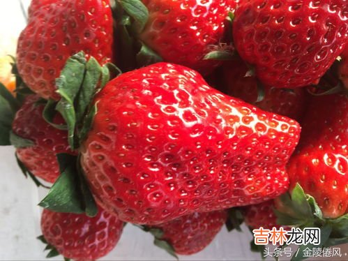 250克草莓大概有几个,半斤草莓大概多少个?