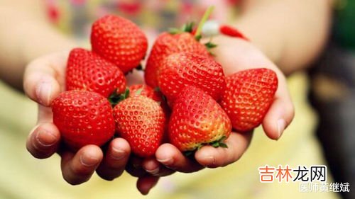 草莓储存方法是什么,草莓的保存方法有哪些?