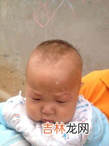 老鼠板上的胶用什么能洗掉,粘老鼠的胶用什么可以去除?