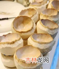 椰子怕冻吗,椰青在北方怕冻吗冬天