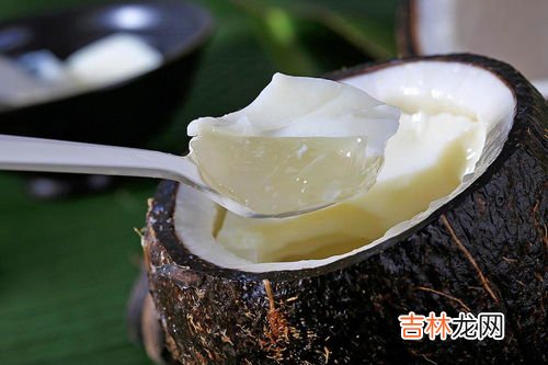 椰子怕冻吗,椰青在北方怕冻吗冬天