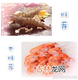 美食虾棒怎么做,虾棒可以炒吗？