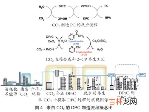 体内二氧化碳来自,体内二氧化碳主要来自 A.呼吸链的氧化还原作用B.有机酸的脱羧E.脂肪酸的贝塔氧化