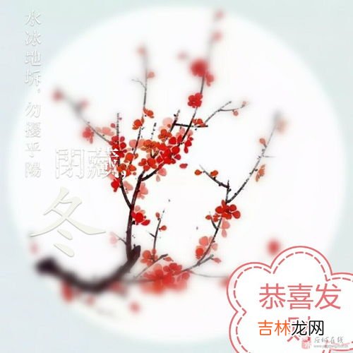 梅花的花语是什么,梅花的花语是什么