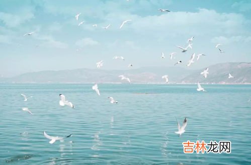 大理风花雪月指什么风景,大理的风花雪月四景是哪四景