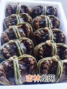 大闸蟹放冰箱冷藏还是冷冻比较好,螃蟹放在冰箱冷藏还是冷冻 螃蟹保存方式
