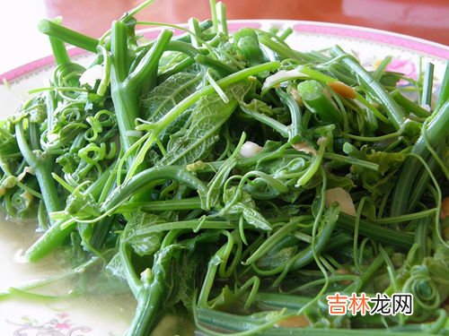 龙须菜怎么吃,龙须菜怎么吃