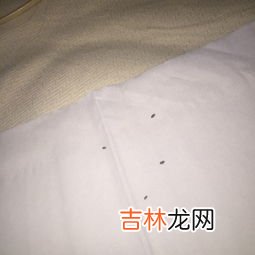 家里到处都是粉螨怎么办,家里到处都是粉螨怎么办,粉螨怎么去除最有效