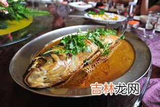 鱼吃什么食物家里食物,鱼吃什么食物