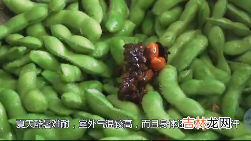 毛豆发黑了还能吃吗,生毛豆放几天有点变色能吃吗