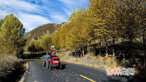 建制村是什么,建制村和社区的区别